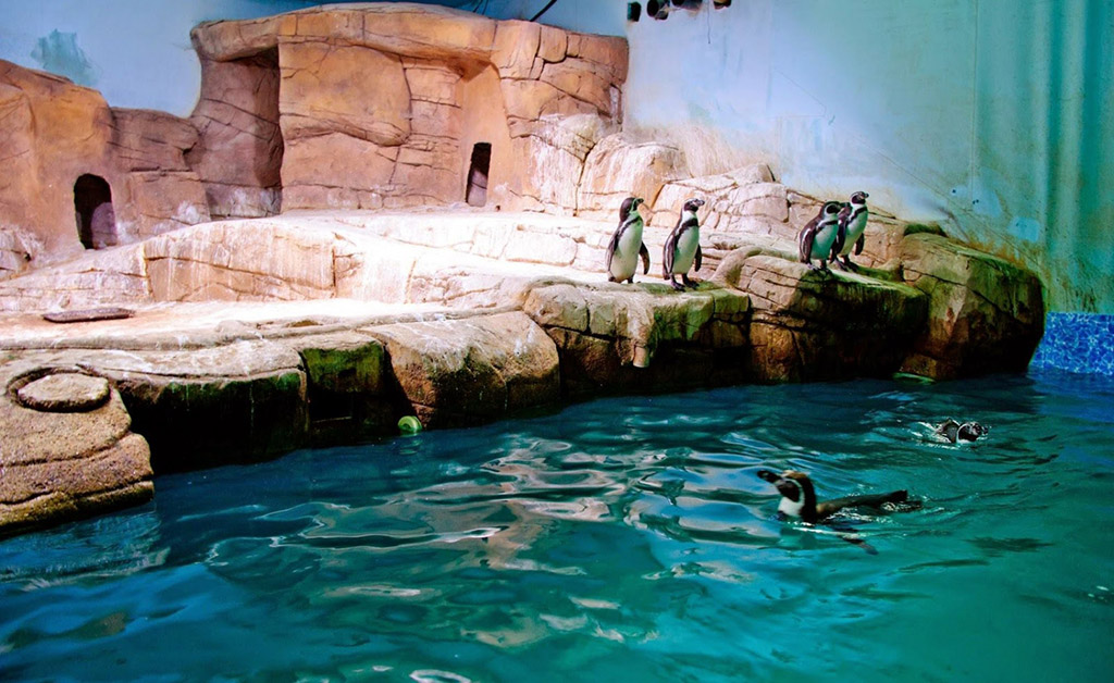 Ocean Aquarium Protaras Kipar