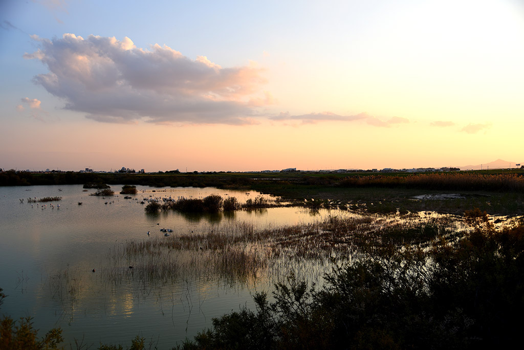 Jezero Oroklini Larnaka Kipar
