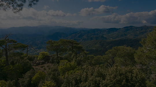 Planinarenje