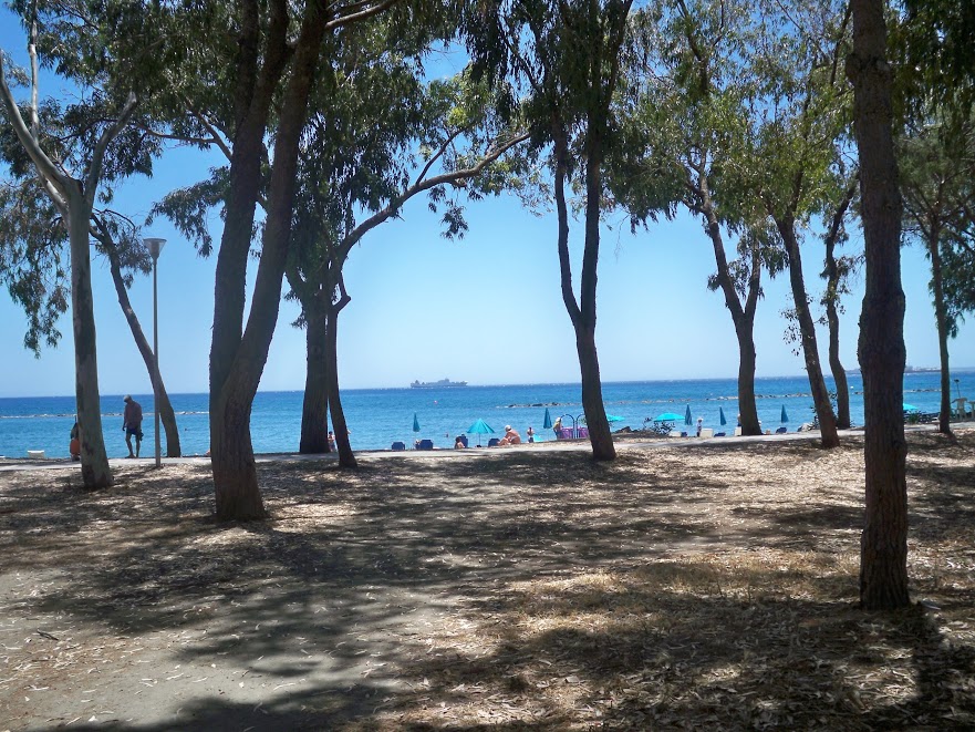 Plaza Dasoudi Pafos Kipar