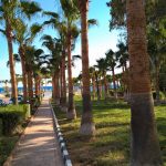 Anmaria Beach Hotel Aja Napa Kipar