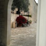 Agios Neofitos Pafos Kipar