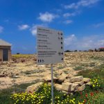 Arheoloski park Pafos Kipar