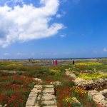 Arheoloski park Pafos Kipar