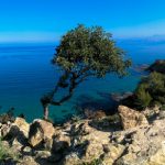 Baths of Aphrodite Pafos Kipar