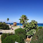 Fig Tree Bay Protaras Kipar