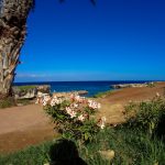 Fig Tree Bay Protaras Kipar