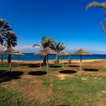 Fig Tree Bay Protaras Kipar