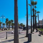 Finikudes Larnaka Kipar