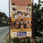 Manastir macaka Pafos Kipar