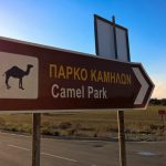 Park kamila Mazotos Larnaka