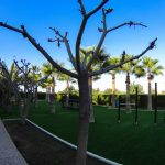 Park kamila Mazotos Larnaka