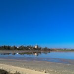Slano jezero Larnaka Kipar