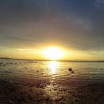 Slano jezero Larnaka Kipar